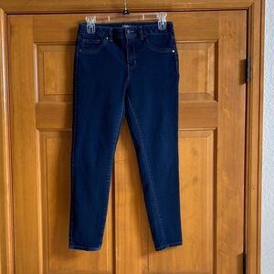 d. jeans Deep Indigo Skinny Jeans